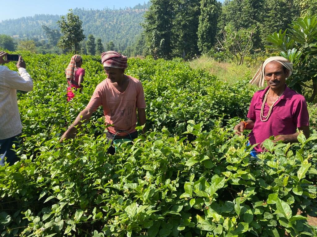 WhatsApp Image 2026-03-01 at 10.17.10